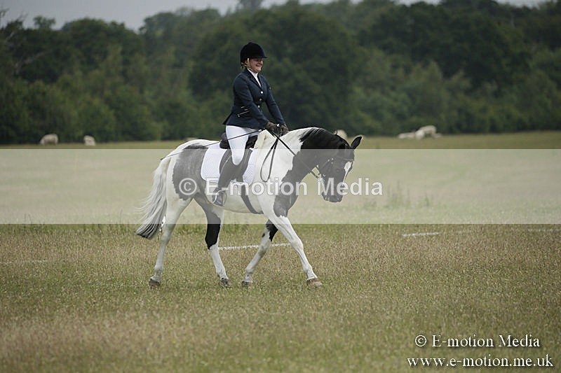 B230619-0380 - Bourne Valley Riding Club Summer Show 23/06/19