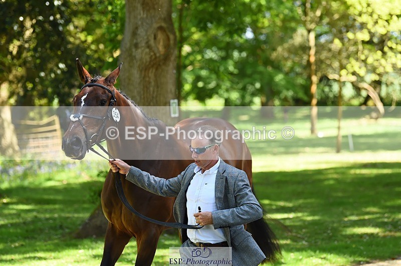 230524-151150-00122 - 354-TREWORDER-Michael_Owen-WEDTrotUp+DR