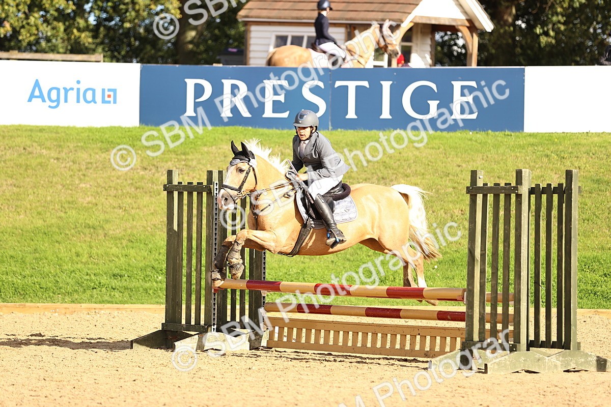 SBM_51366 - J10 - Junior Pony 75cm Championship