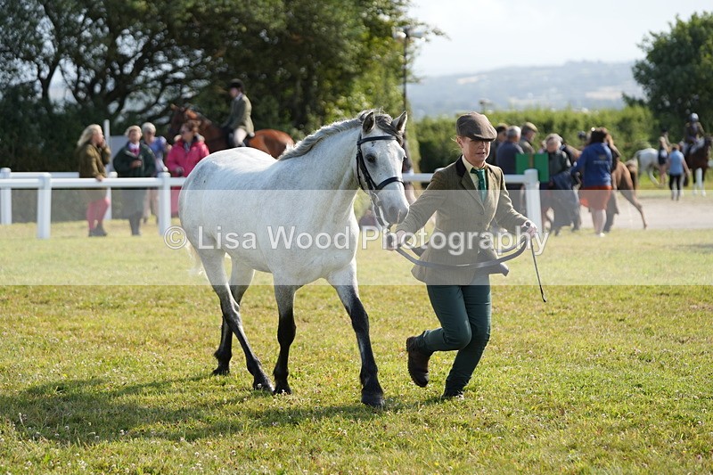 DSC05045 - Class 48: NPS M&M 2/3 year olds