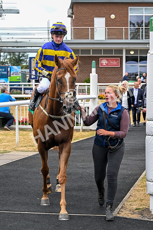 070826-Race 4-Azuinthejungle-1889 - Race 4 15.40pm Ladies' Day Saturday 5th September - Book Now Handicap