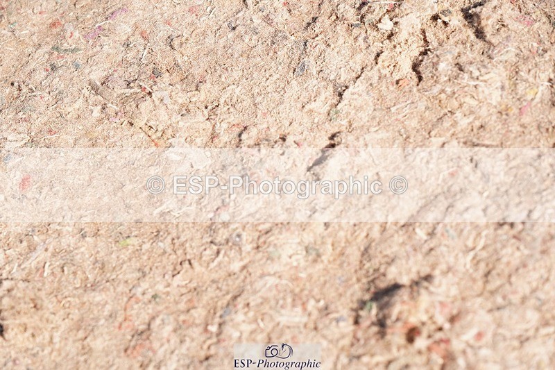 250510-091658-10019 - Cls 14 Snr 1.20m Open