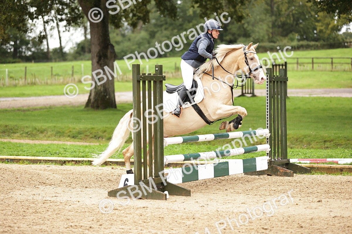 SBM_35775 - J38 - Senior Horse & Pony 80cm Championship