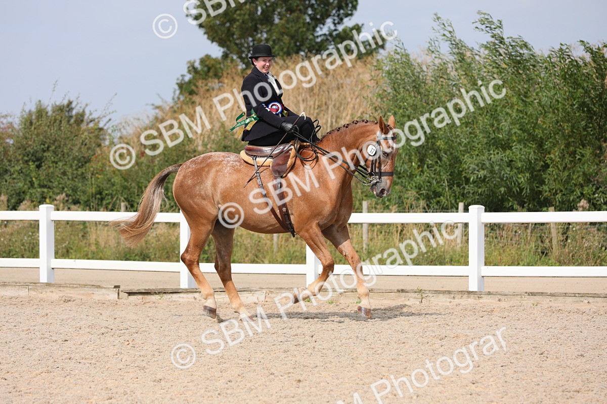 SBM_14644 - Class 211 Best Side Saddle Horse/Pony