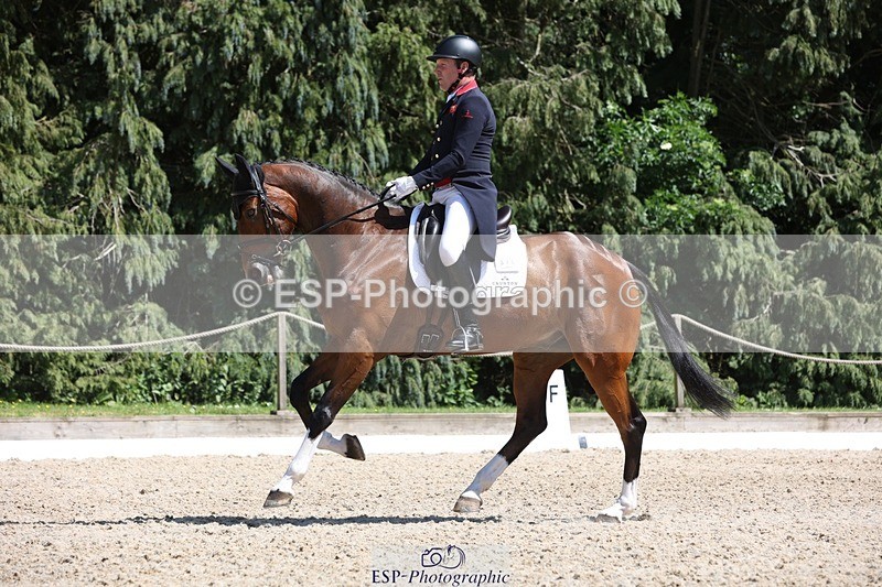 230526-144709-06544 - 375-FINLEY_DU_LOIR-Oliver_Townend-WEDTrotUp+DR
