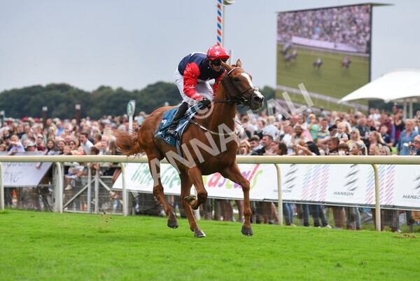 yr04092022r5-37 - Race 5 4.05pm Little Green Rascals Children's Nurseries Stakes
