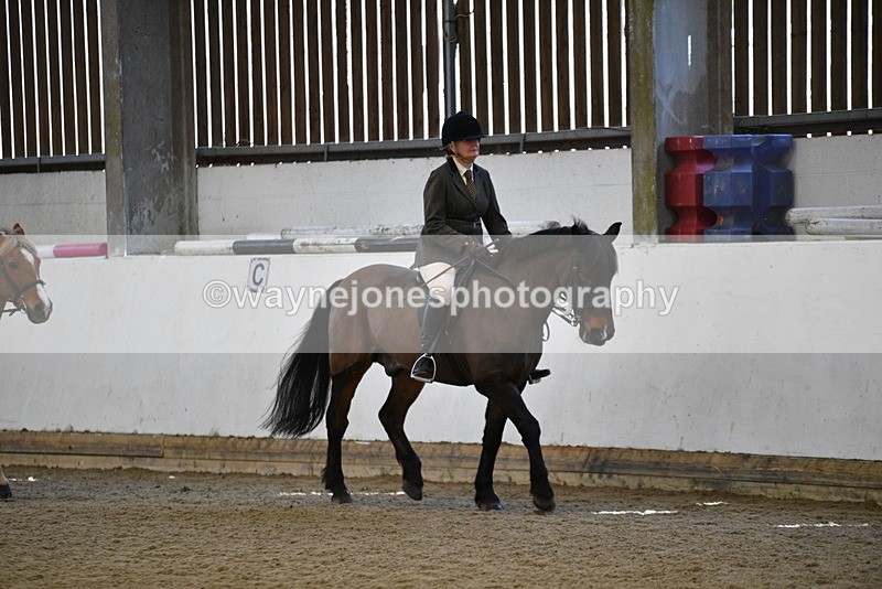 WJ5_5920 - Class 9 Ridden Veteran