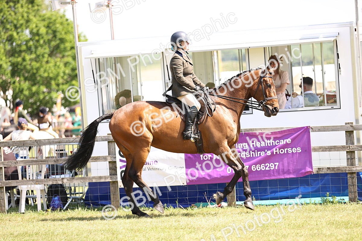 SBM_14863 - Class 78 - LIHS BSHA Open Racehorse & Show Horse