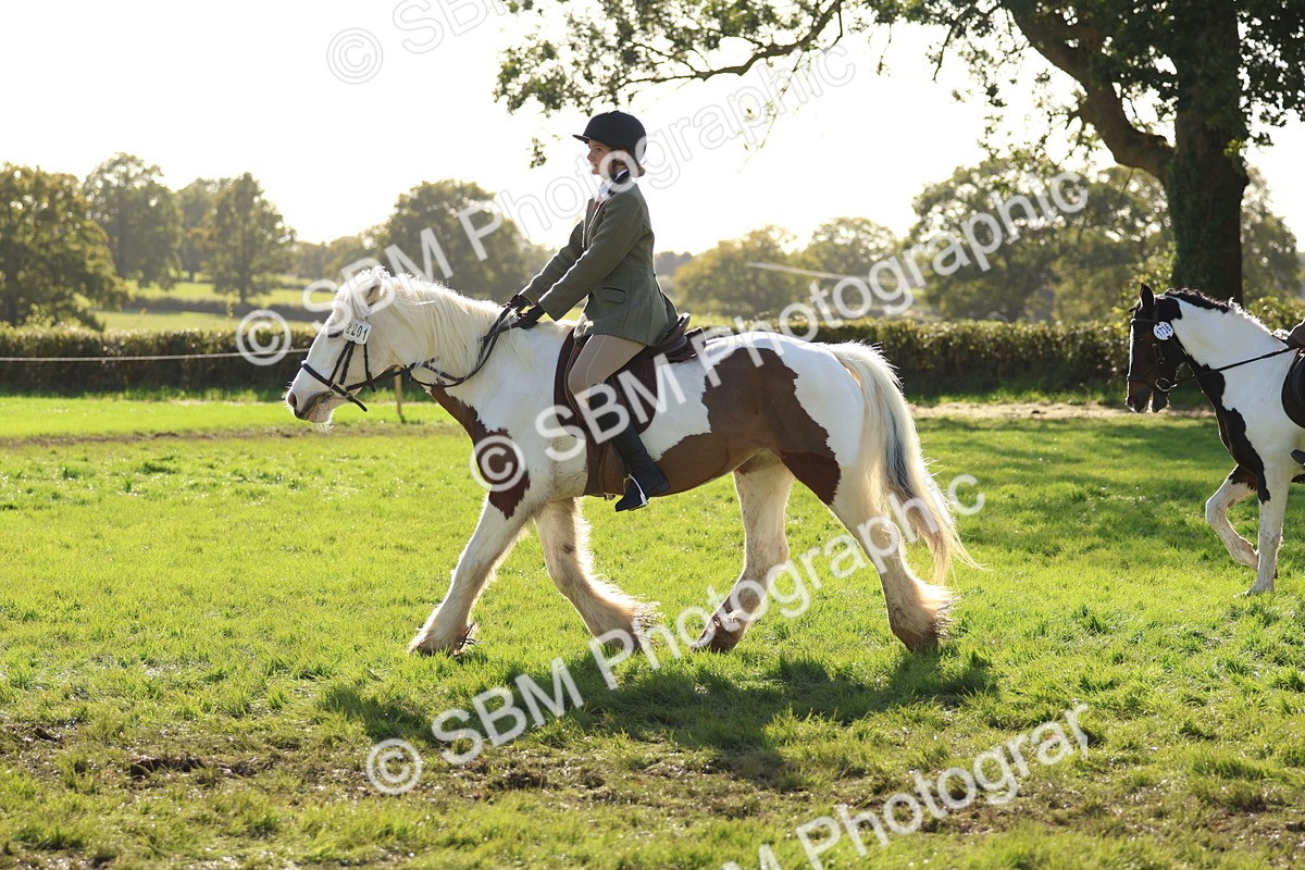 SBM_52443 - S13 - Pony Club Pony