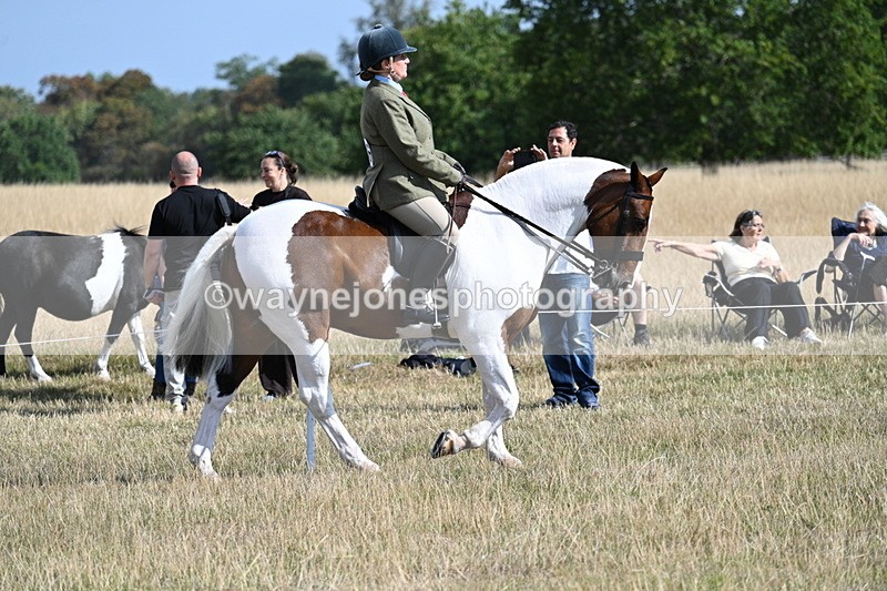 WJ7_2684 - Class 8 Ridden Tack & Turnout