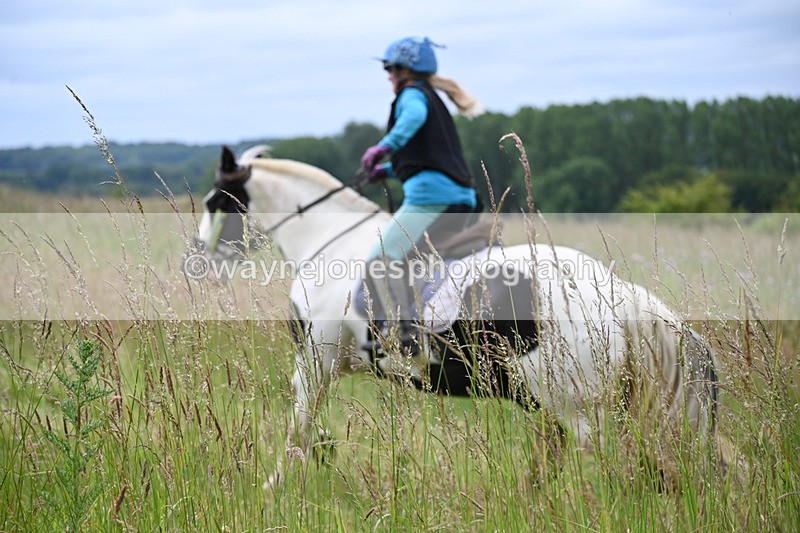 WJ6_8150 - Camera 1 Gallops
