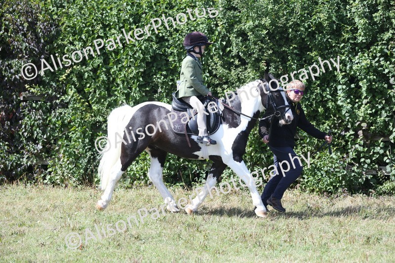 20250831-2669 - Class 17 - Lead Rein Pony