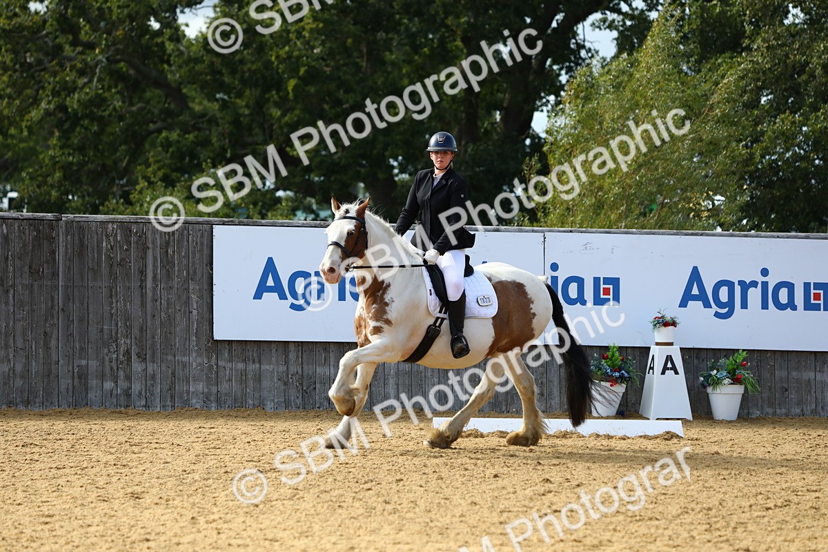 SBM_26666 - D11 - Small Tour Championship Prelim 1