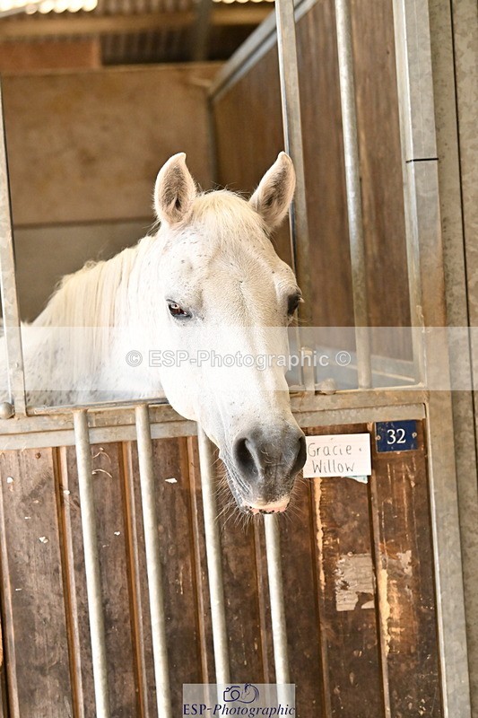 250821B-140907-00484 - Stable Shots and Group Photo