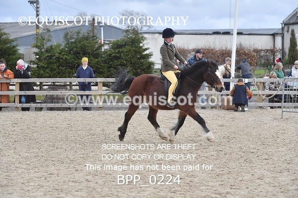 BPP_0224 - RING 2 - M&M