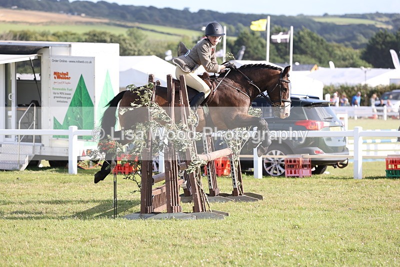 JPP_3237 - Class 21: Working Hunter 80cm