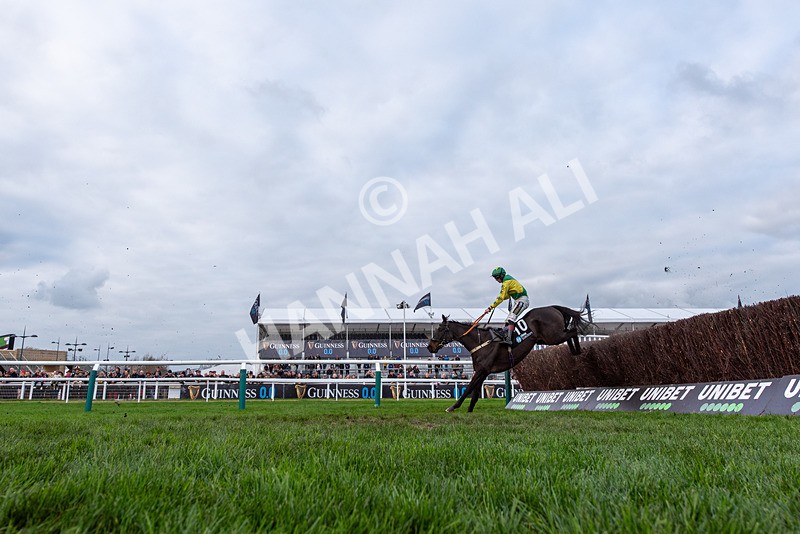 161125-Race 3-Ballybreeze-3019 - Race 3