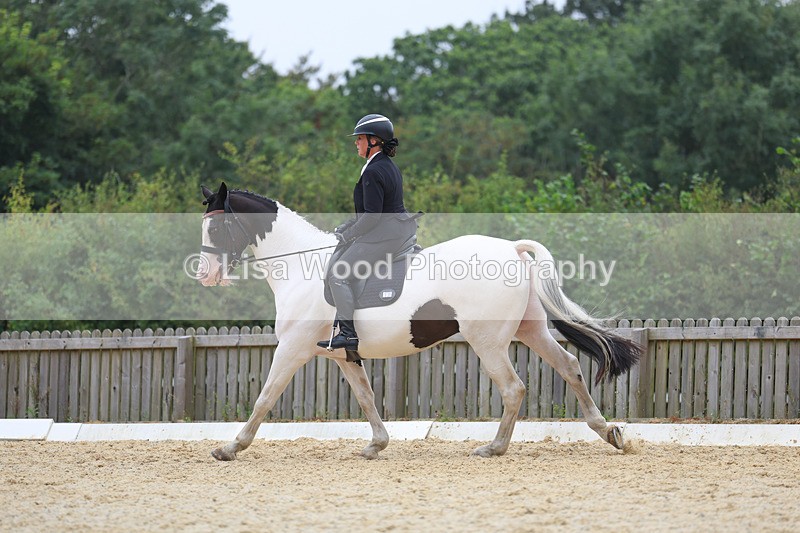 3E7A7077 - Class 7: Novice 4 2024 Section B