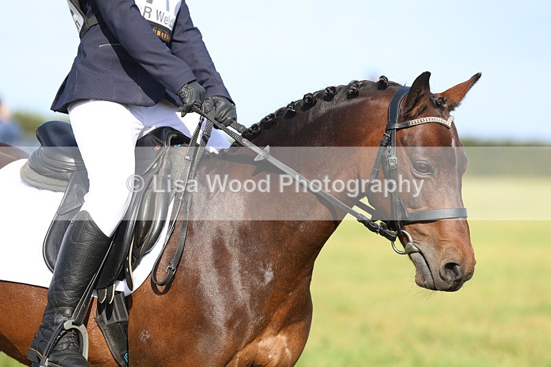 3E7A5939 - Class 1: Trebudannon Open: Dressage (Part 2)