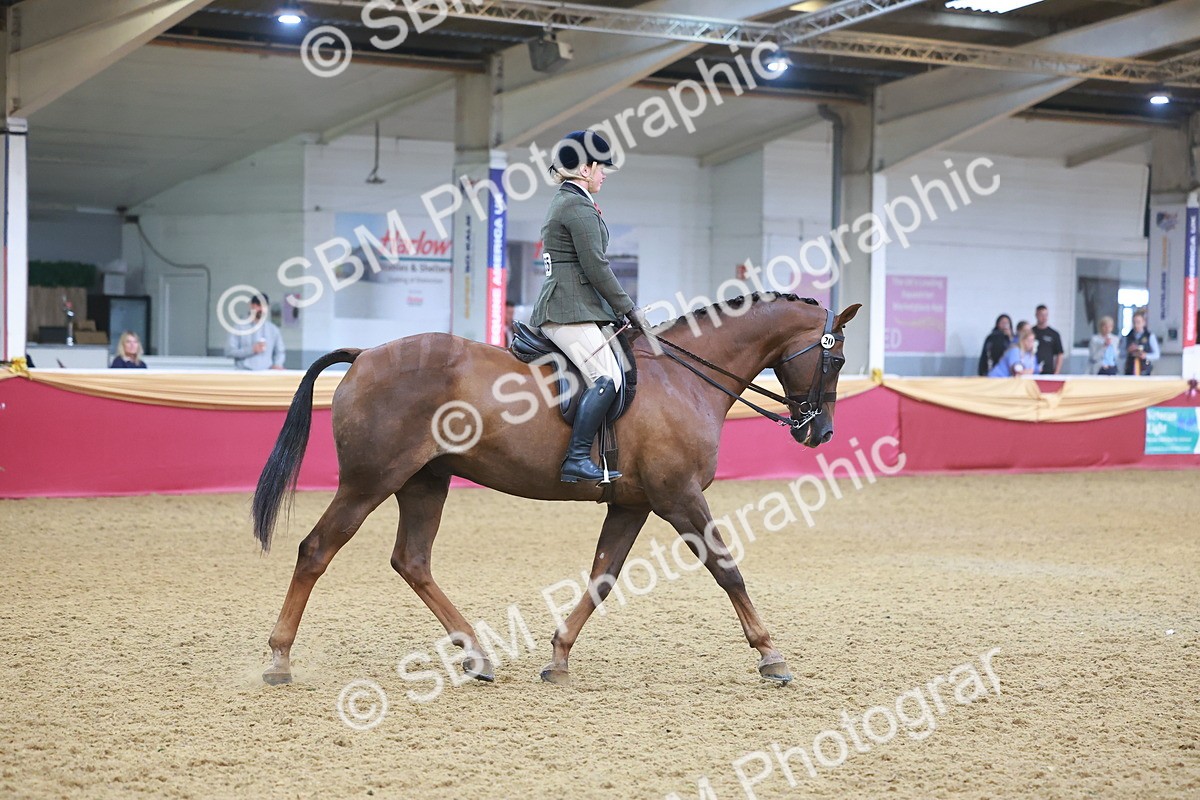 SBM_09673 - Class 102 - HOYS Veteran Qualifier - Ridden Veteran