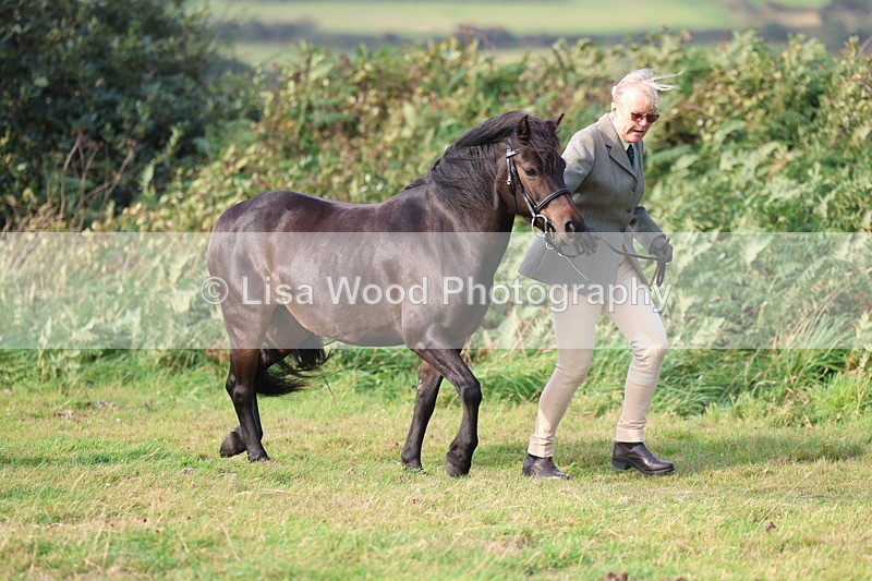 3E7A3169 - Class 12: M & M Small Breeds