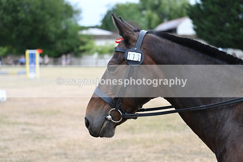 WJ7_1355 - Class 8 Ridden Veterans