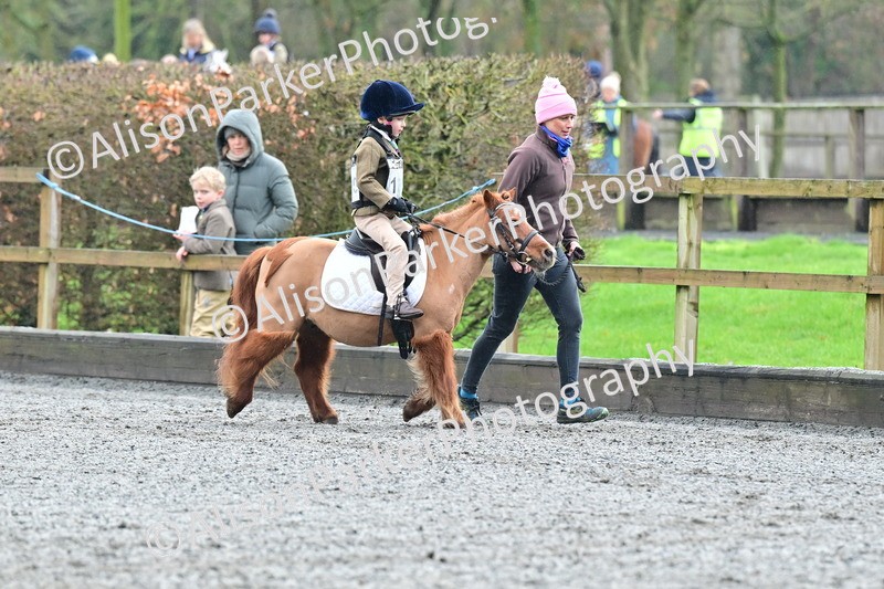 20260125-0914 - Class 9a - Walk Trot Assisted