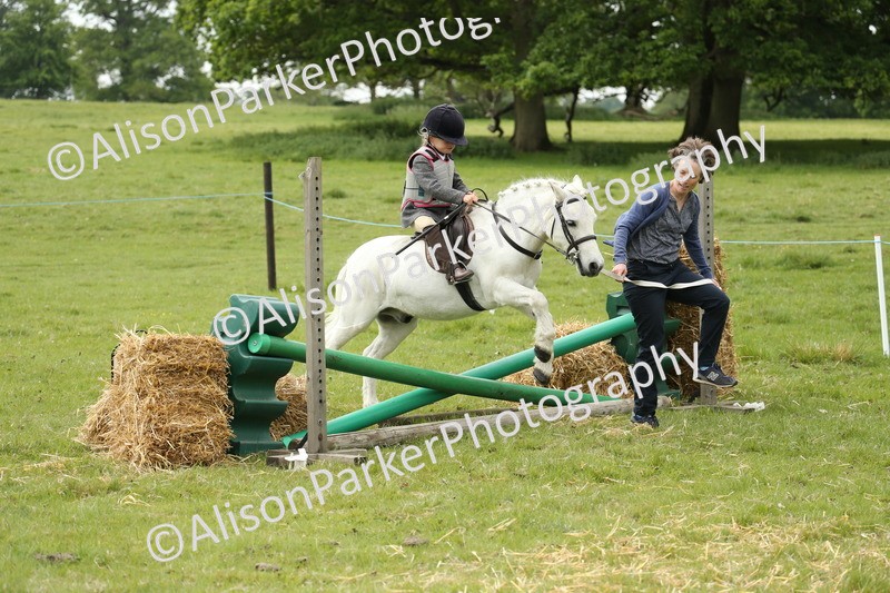 20250517-0573 - Class 20 - Beginners Working Hunter