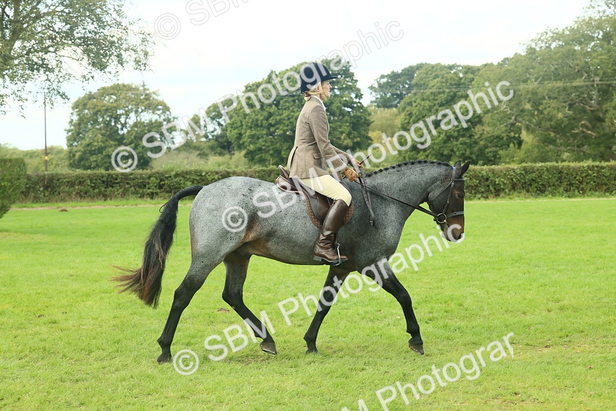 SBM_62591 - S63 - Other Coloured Horse Ridden