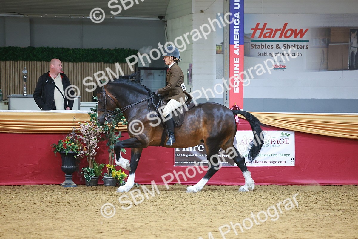 SBM_06078
