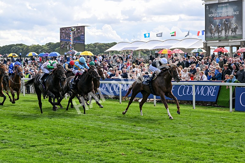 210826-Race 4-Bacio-6209 - Race 4 15.35pm Coolmore City Of Troy Nunthorpe Stakes
