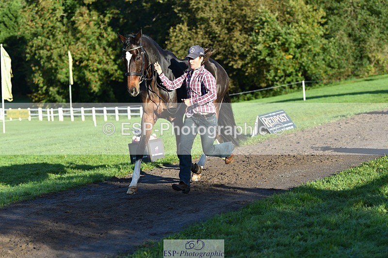 231022-092742-21803 - 685-ADRENALIN.II-Cosima.Atkinson-TrotUp+SJ