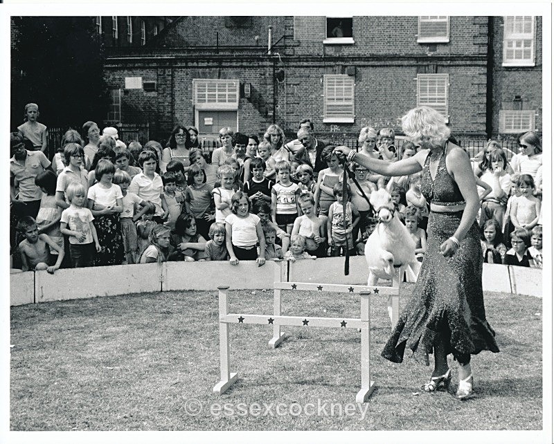 barmy park
