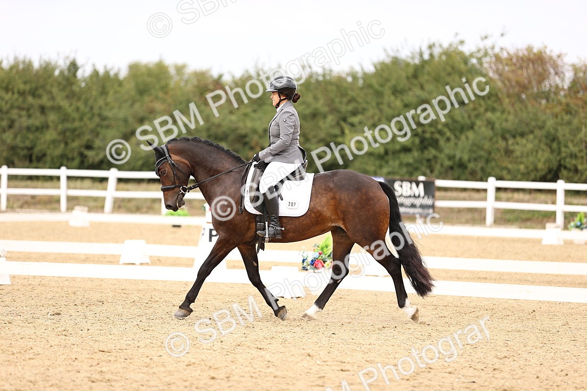 SBM_013974 - Class 4 - Novice 5 - 13.09-13.51