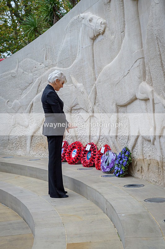 NGP_8218 - 2024 Animals in War Remembrance Gathering