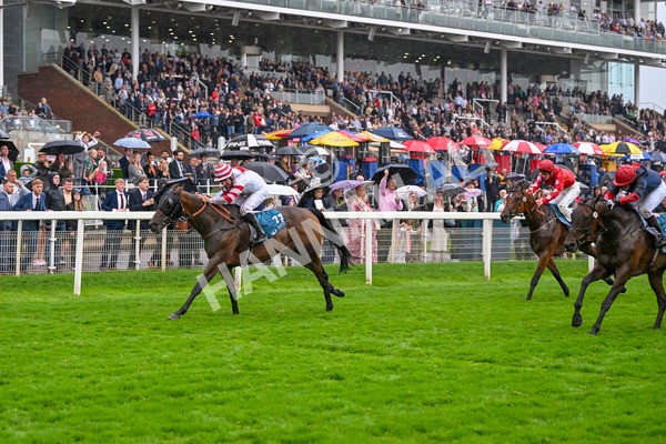 080924-Race 7-Young Fire-9725 - Race 7 5.10pm Elevator Company Amateur Jockeys' Handicap