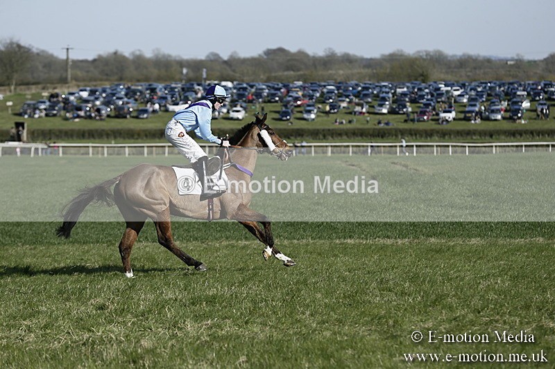 PtP 250317 266 - V.W.H. Hunt Point-to-Point Siddington 25/03/17