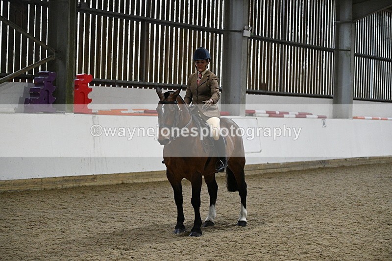 WJ7_4041 - Class 17 Ridden Cob