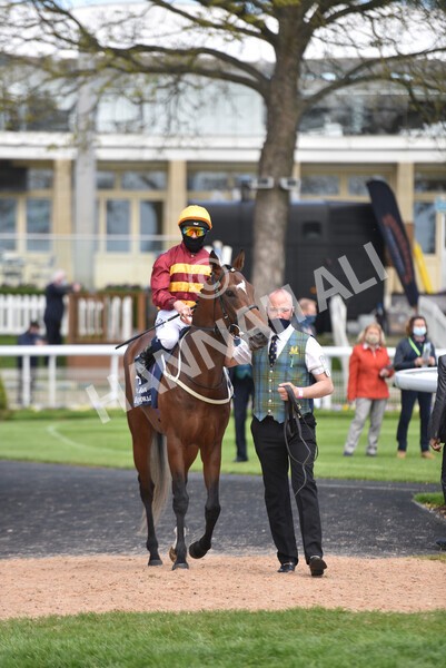 yr13052021r4-31 - Race 4 3.10pm Al Basti Equiworld Dubai Dante Stakes
