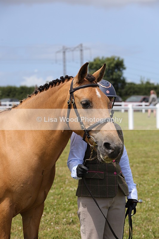 1X9A4903 - Class 35: Veteran In Hand