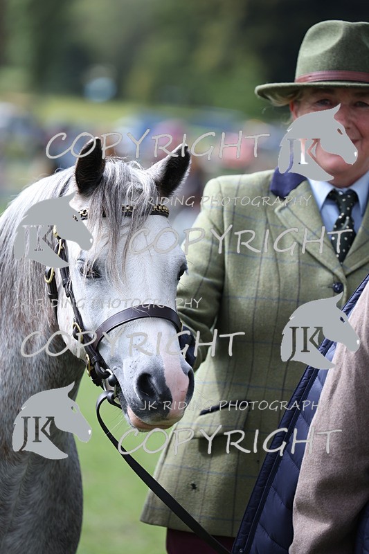 APP_2938 - Class 10a/b M&M in hand