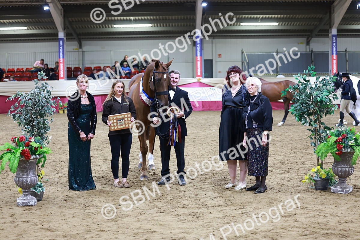 SBM_20509 - Class G - IH Large (over 148cm)Champ