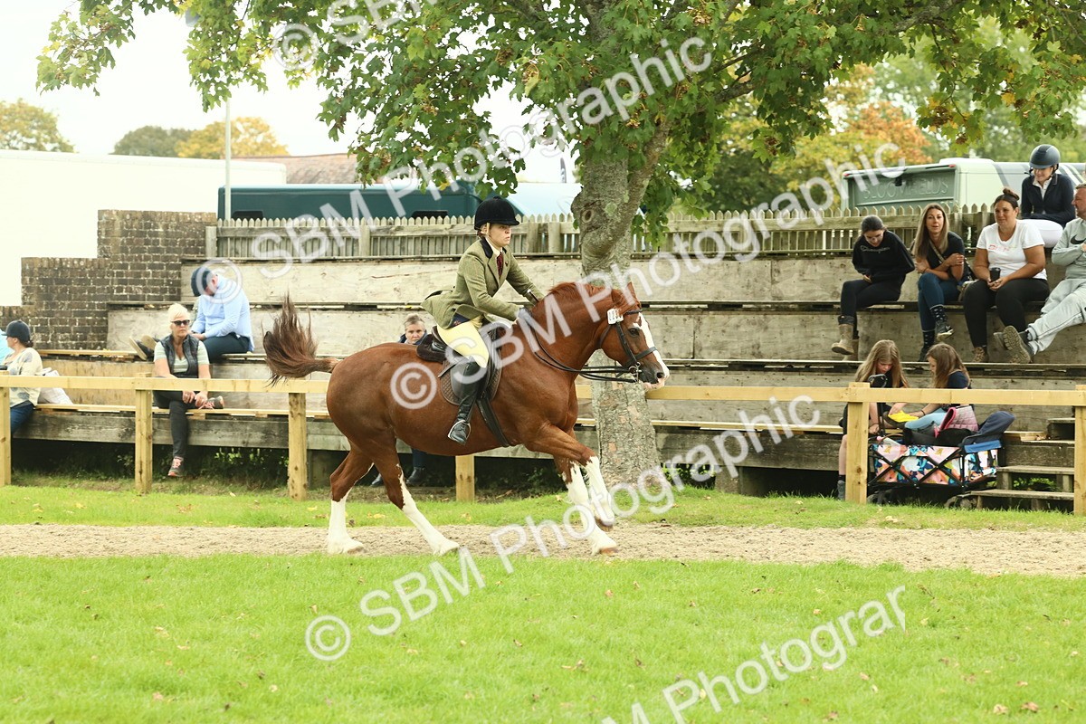 SBM_72129 - S60 - Mountain & Moorland Ridden Large Breeds
