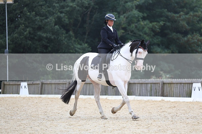 3E7A7397 - Class 9: Elementary 4 2024 - No sections