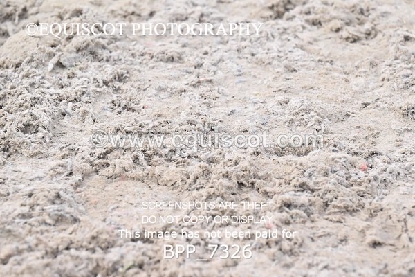 BPP_7326 - RING 1  (RIDDEN HORSES / IN HAND / VETERAN ETC)