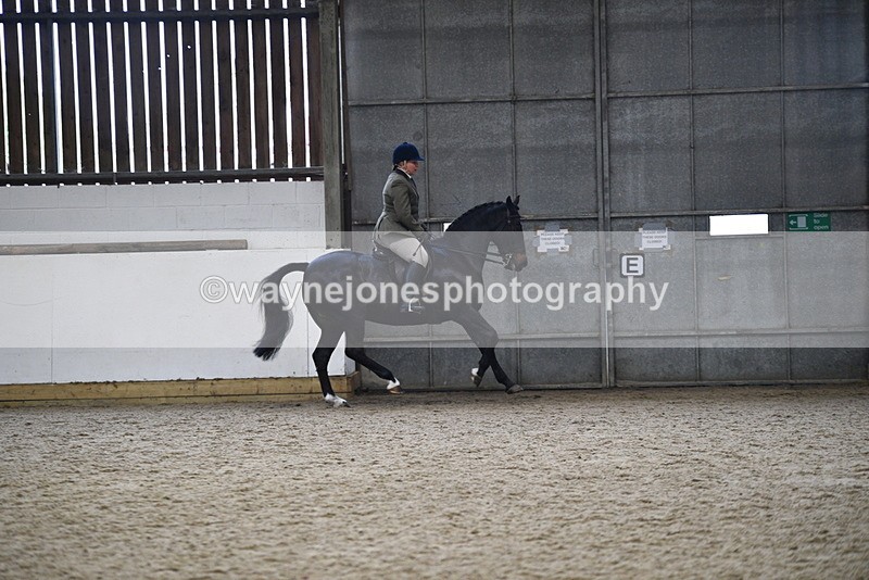WJ5_7831 - Class 13 Ridden Part Breed