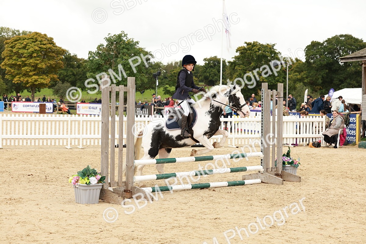 SBM_62132 - J12 - Junior Pony 55cm Championship