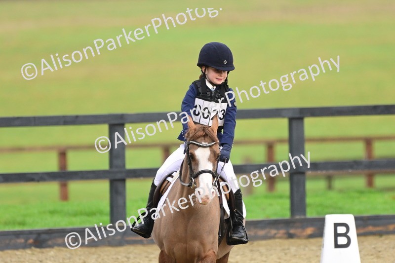 20260125-0669 - Class 9b - Walk Trot Unassisted