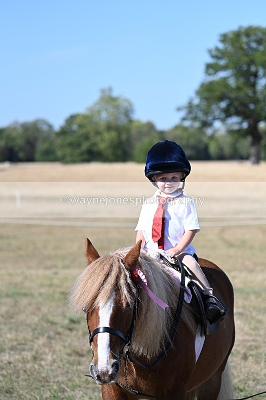 WJ7_2154 - Class 44 Child's Best Friend