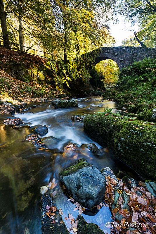 Autumn at Tollymore - Foley's Bridge - Autumn